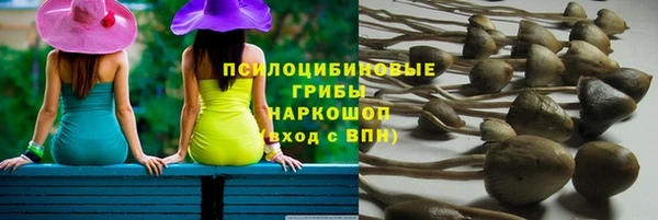 бутират Горняк