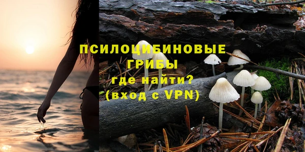 бутират Горняк