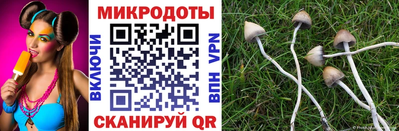 Псилоцибиновые грибы Psilocybine cubensis  Купить где  Семикаракорск 